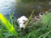 100_0234.jpg