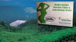 2,c=0,w=985.bild.jpg