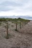 100_1055.jpg