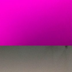 17213770.jpeg