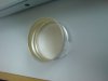 DSC00232.jpg