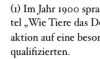 Bild 1.png