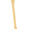 femur